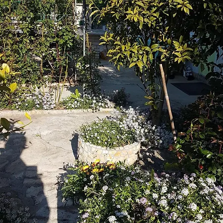 16759c Sveti Filip i Jakov